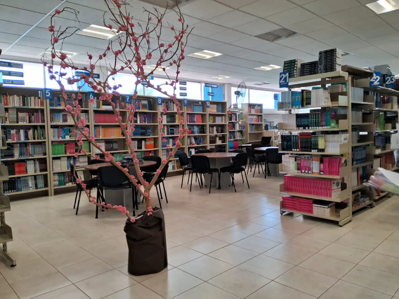 Area de lectura